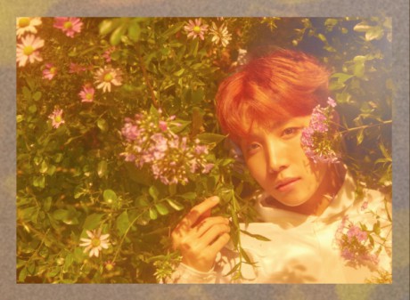 BTS-concept-photos-for-Love-Yourself-bts-40685670-635-465